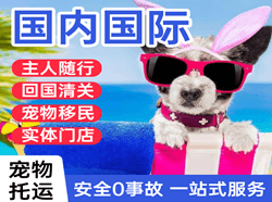 和田昆冈机场空运国际宠物托运 【国